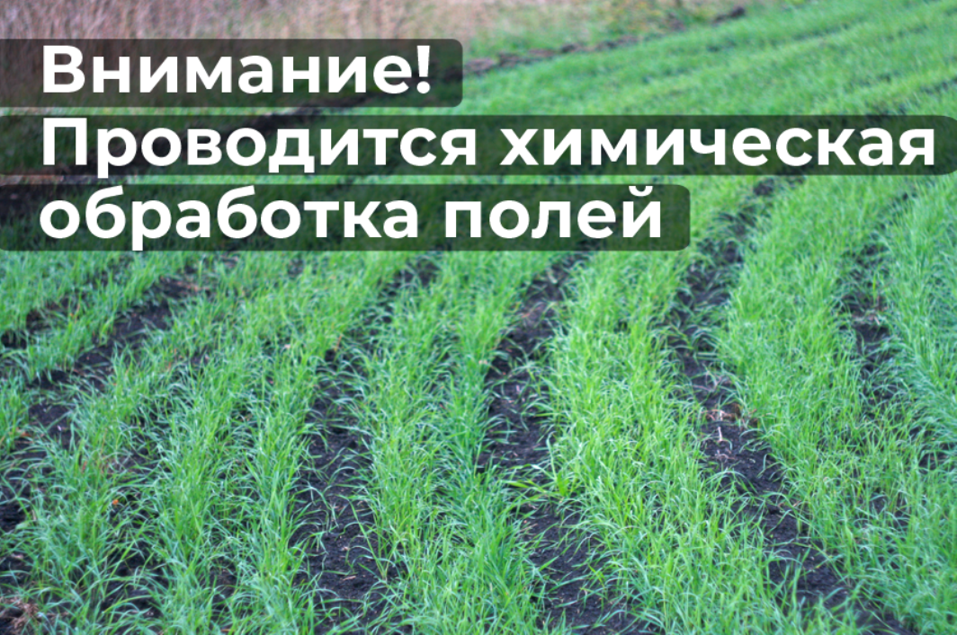 ВНИМАНИЕ!!! ВЕДЕТСЯ ОБРАБОТКА!!!!.