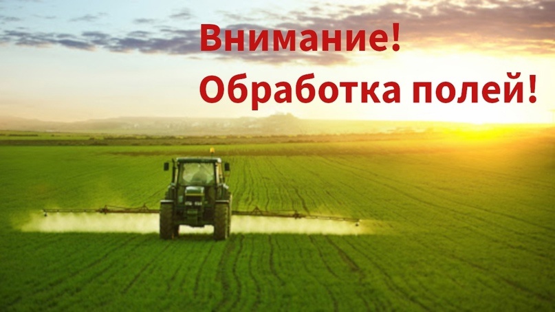 ВНИМАНИЕ ВЕДЕТСЯ ОБРАБОТКА!!!!.